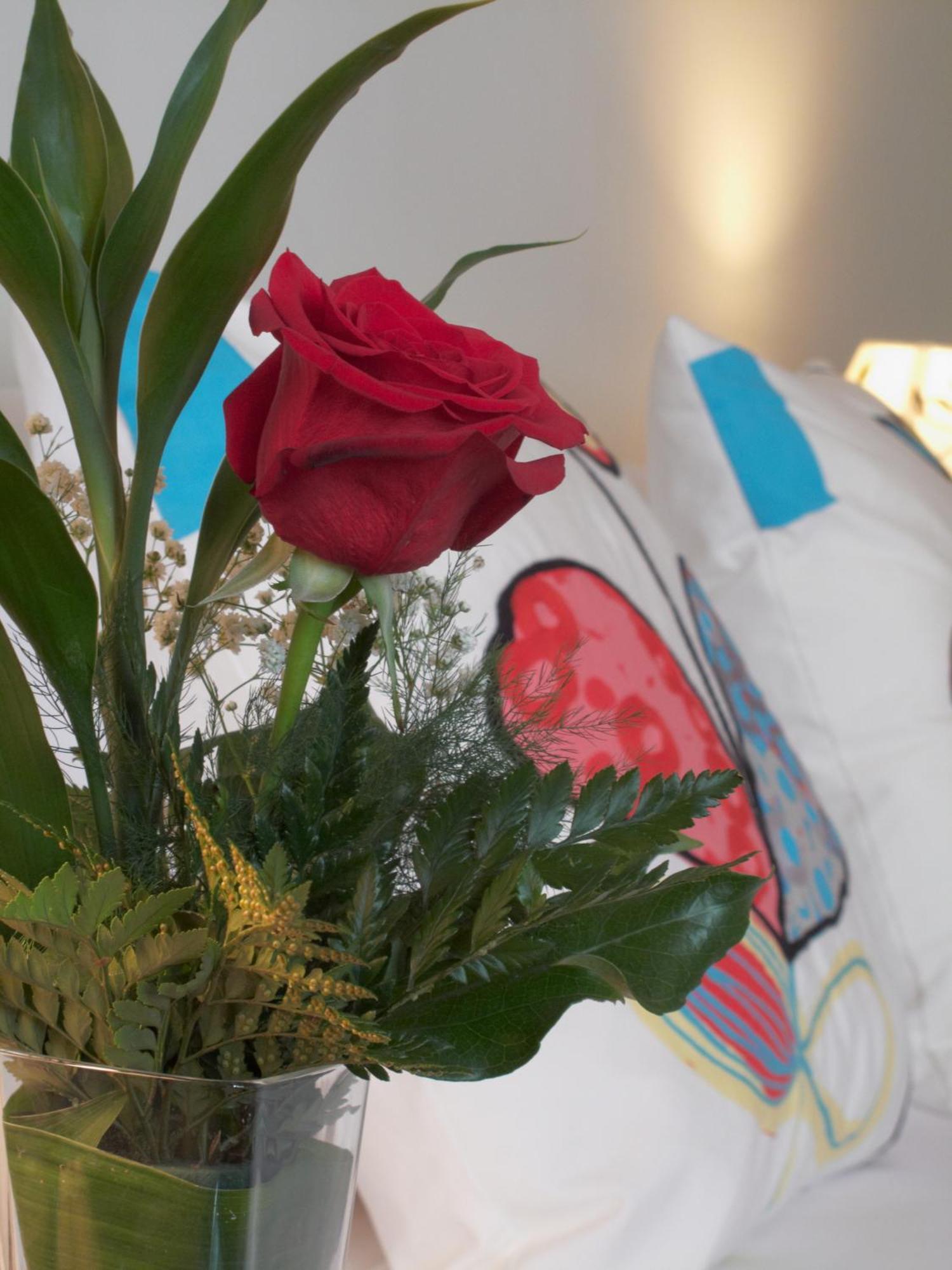 B&B Buongiornopigneto - Rome — Photos 2